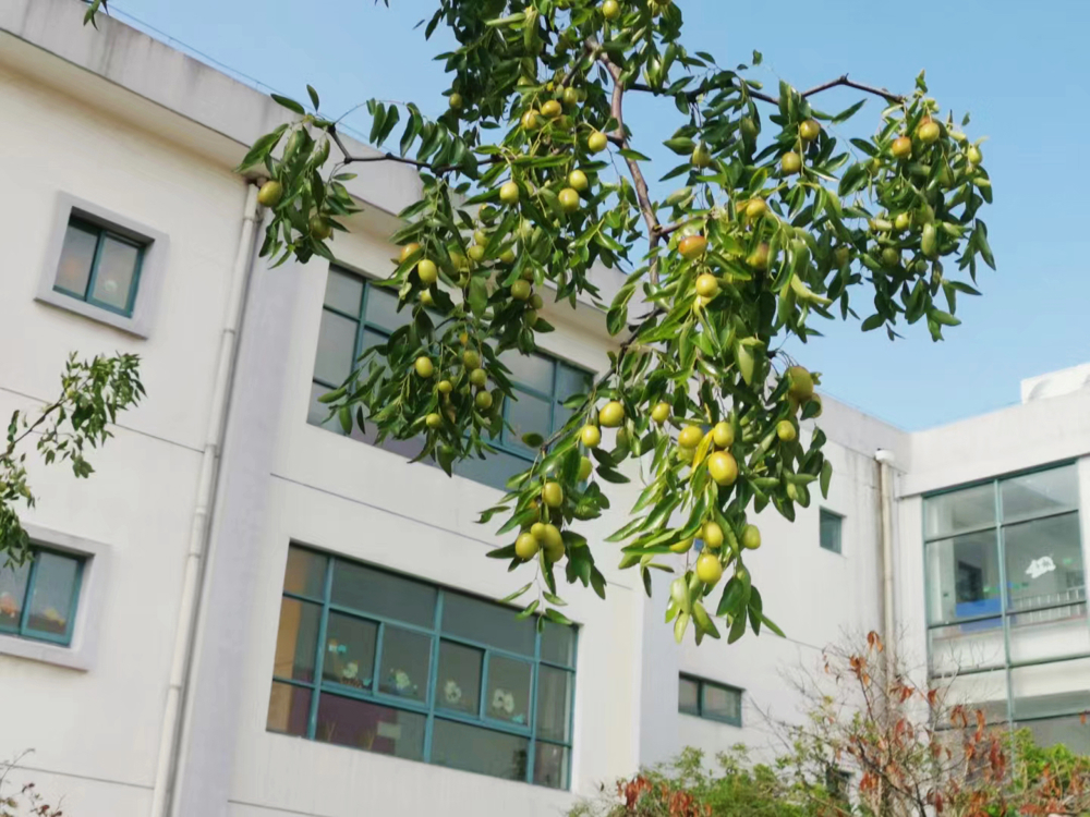 IMG_7913(20231218-131738)