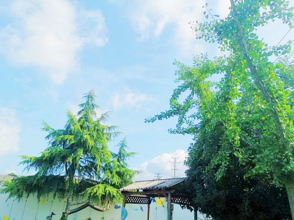 IMG_7914(20231218-131851)