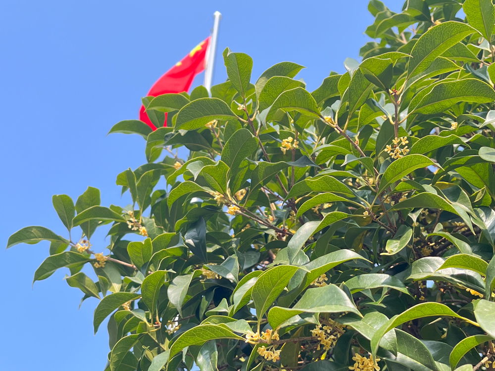 IMG_7900(20231218-130959)