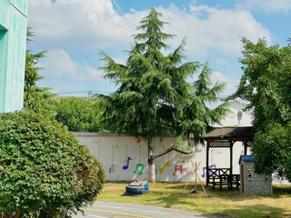 我们找到了春天