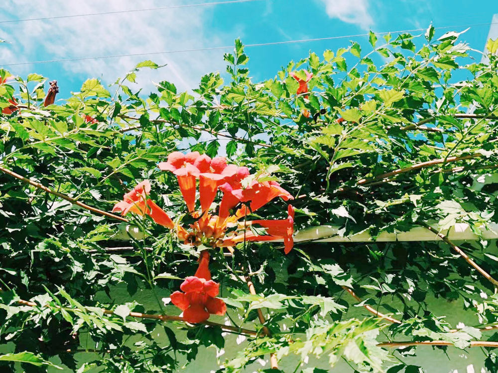 IMG_7910(20231218-131640)