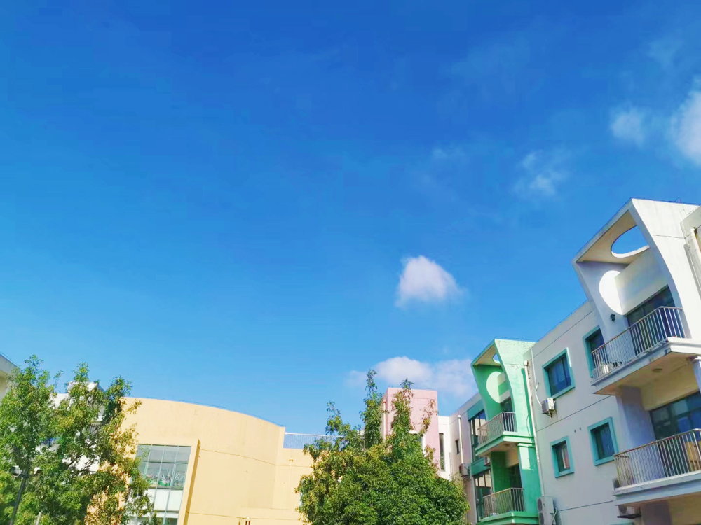 IMG_7915(20231218-131918)