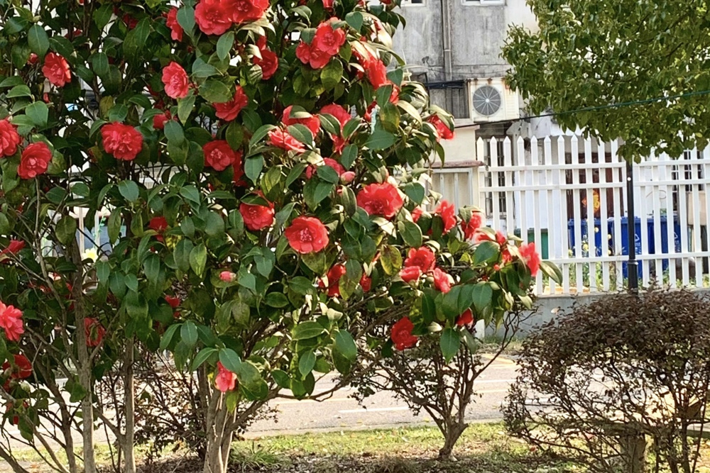 031d60b665417fd0d2fe8e5410c0248