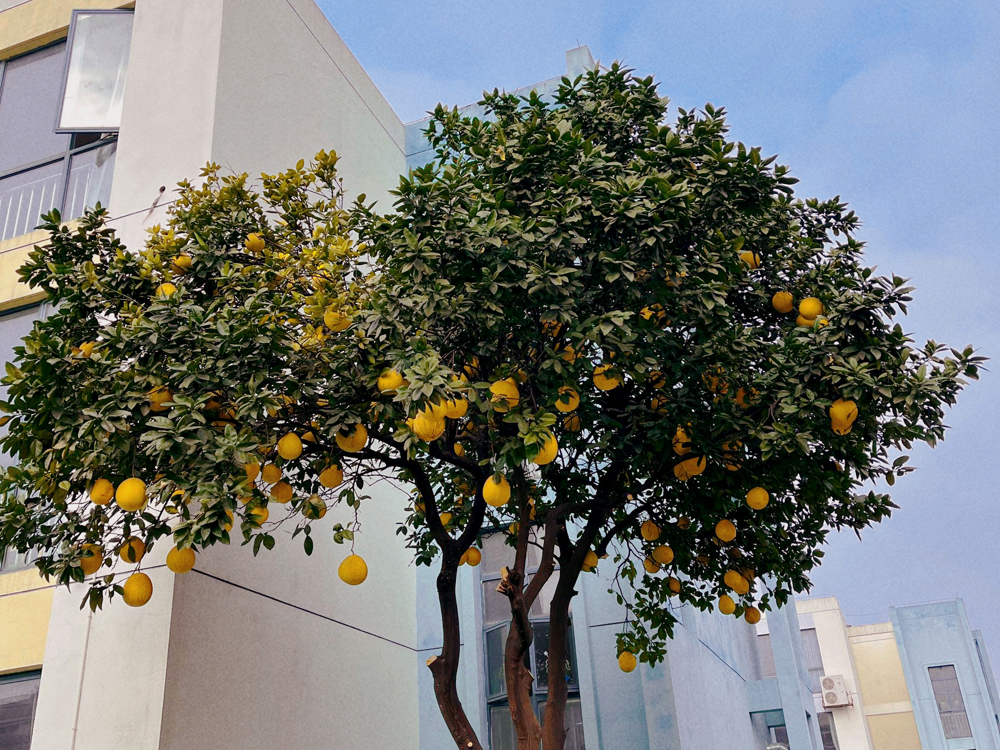 IMG_7929(20231218-132850)